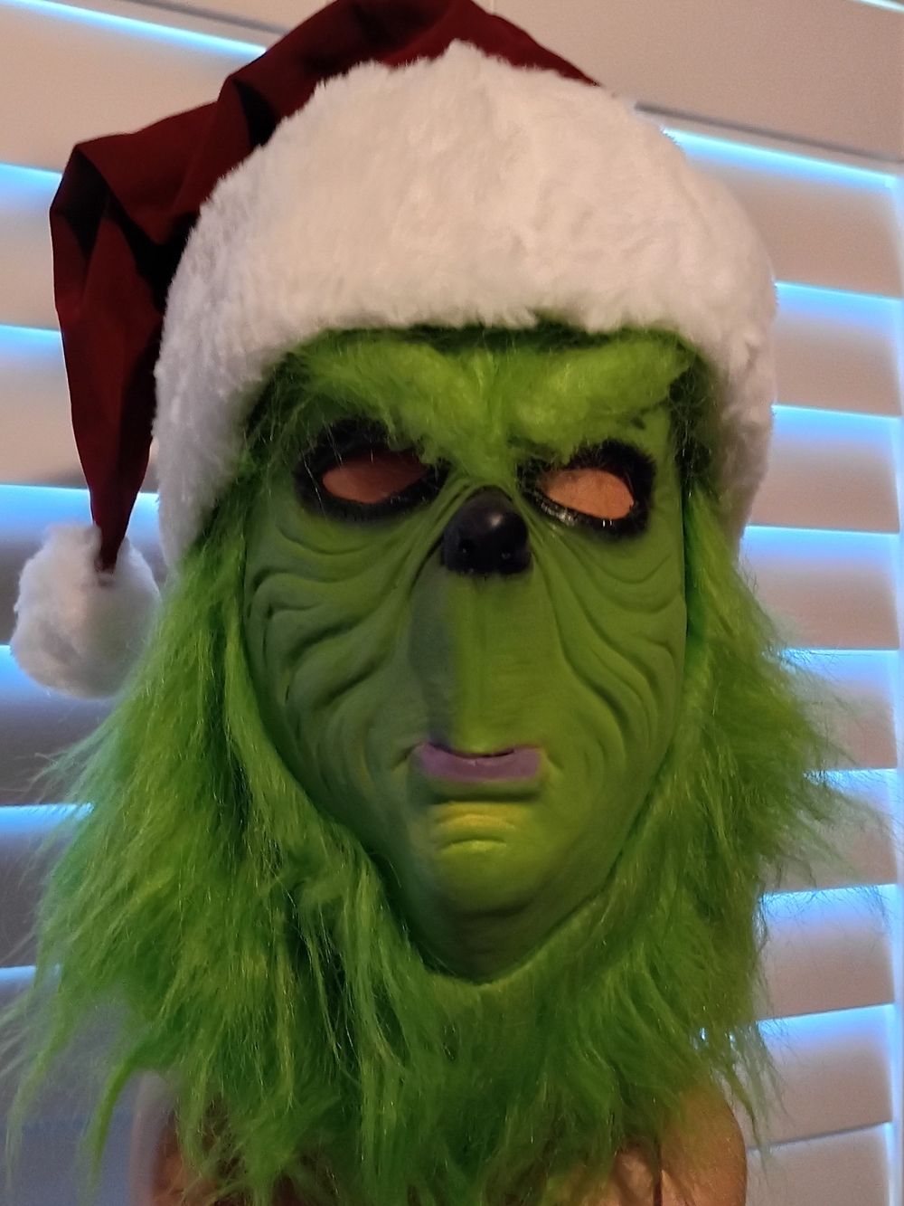 Festive Green Holiday Character Mask with Santa Hat